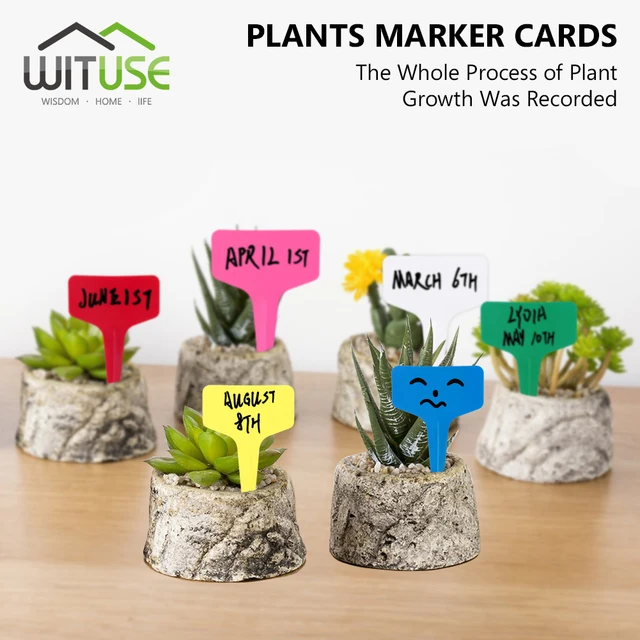 Wituse 50pcs T Type Stick Multi Color Garden Tags Ornaments Plant Wituse 50pcs T Type Stick Multi Color Garden Tags Ornaments Plant Flower Label Nursery