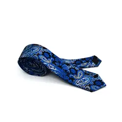 Роскошные для мужчин's Галстуки бизнес Тип галстук для мужчин брендовый высшего качества качество