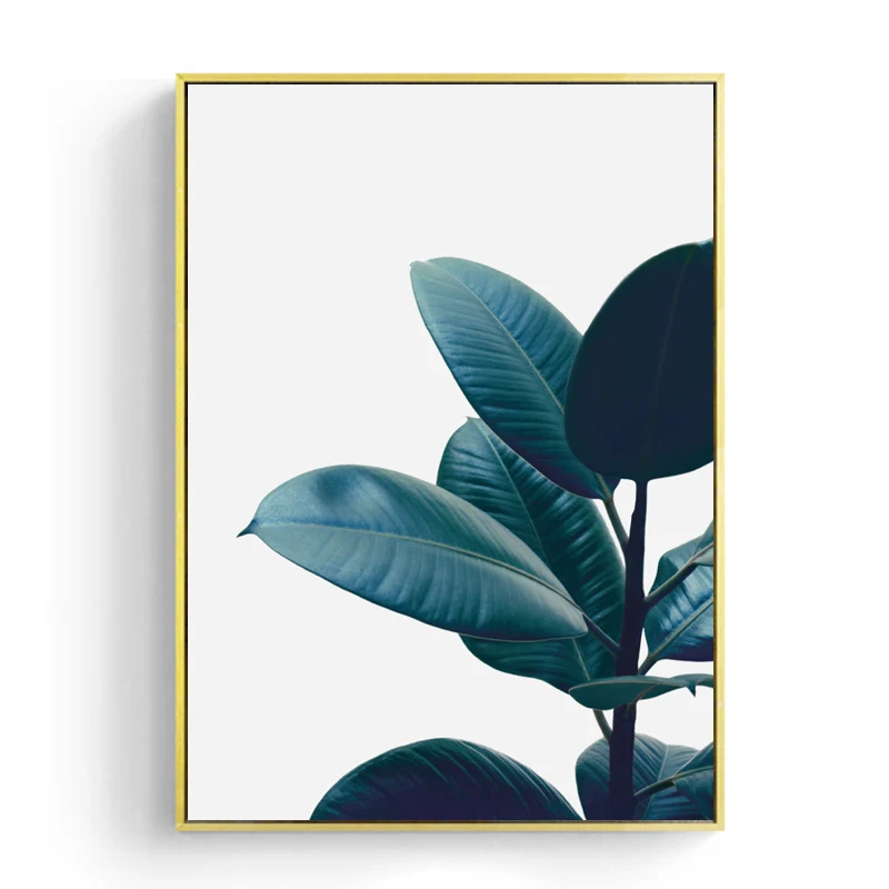 1997777df67963f1669cfd9579dd955a -  (2)