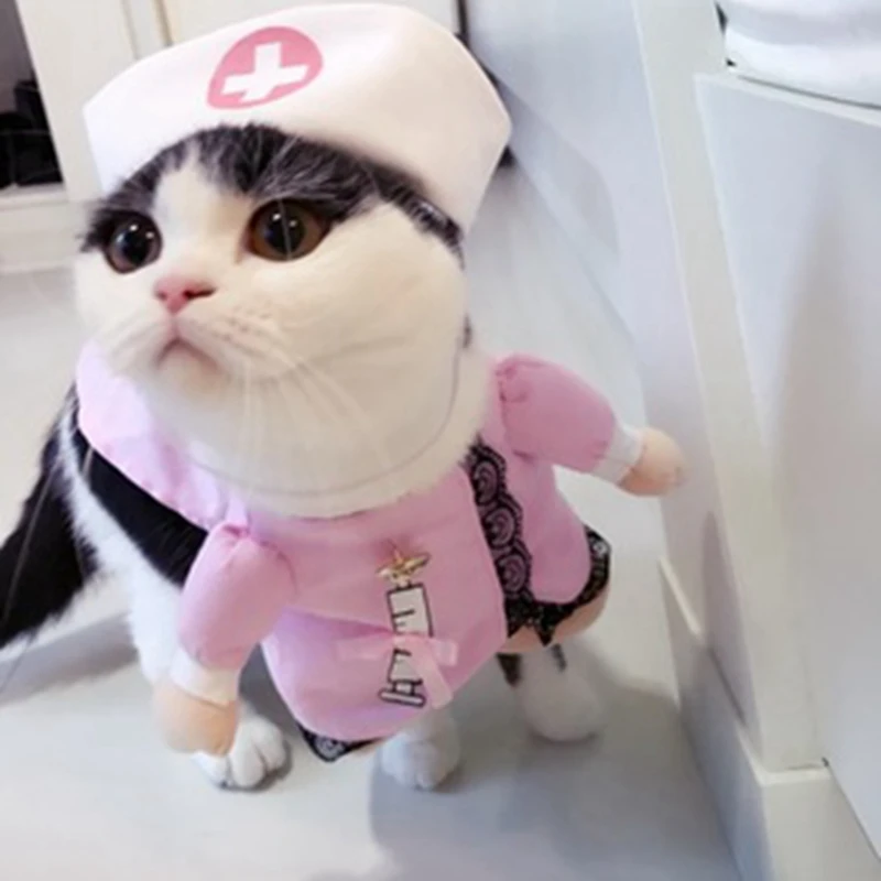 Aliexpress com Buy Halloween pet cat  dog nurse  costume 