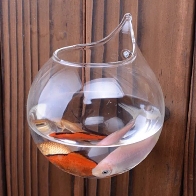 Round fish bowl