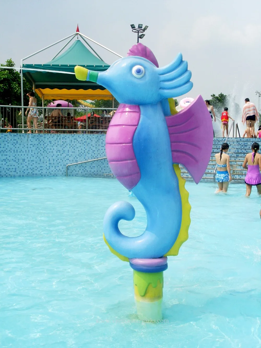 VGK008Hippocampus