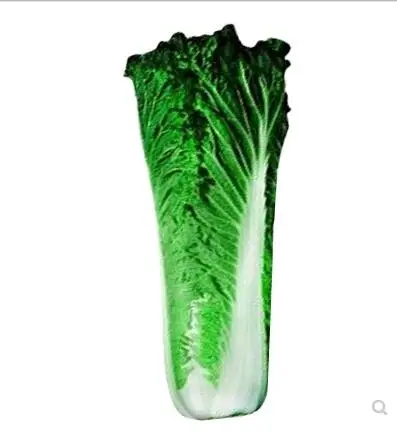 200PCS Giant Chinese Cabbage plant Greens Vegetable Non transgenic hybrid cabbage plant Nutritious Green Plants For Home Ga