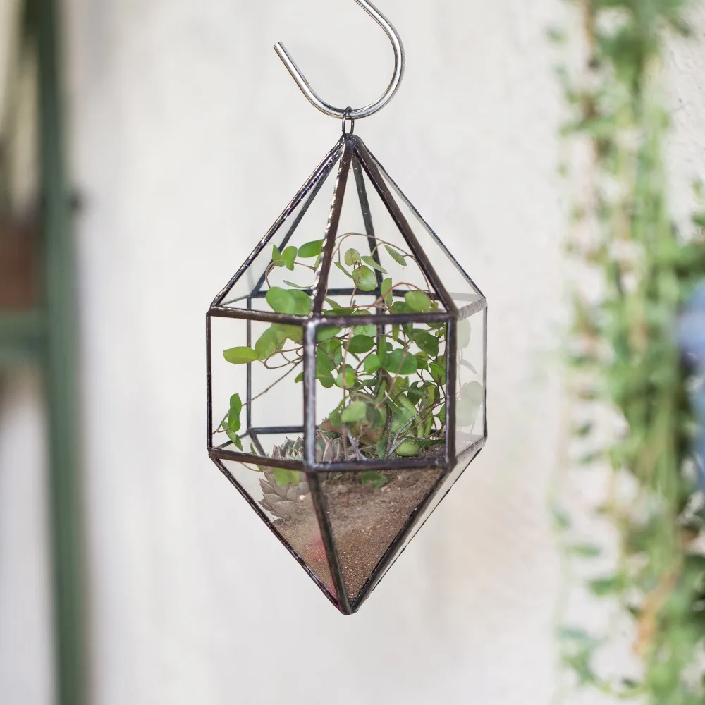 Modern Wall Hanging Succulent Fern Moss Plant Planter DIY Clear Glass