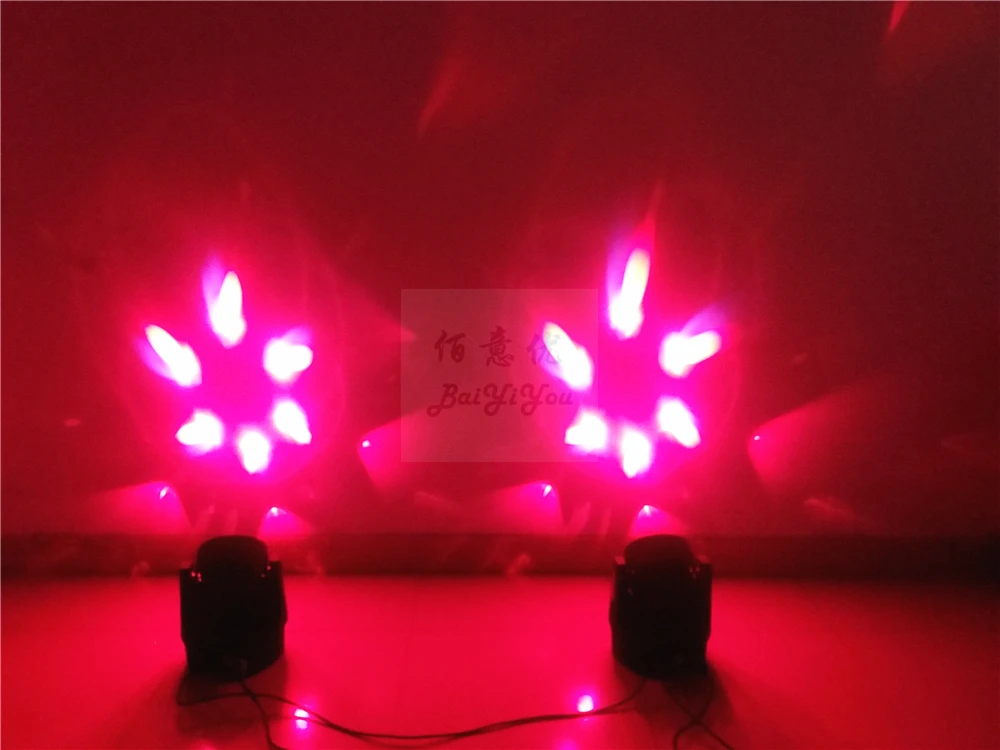 6pcs Bee Eye 30