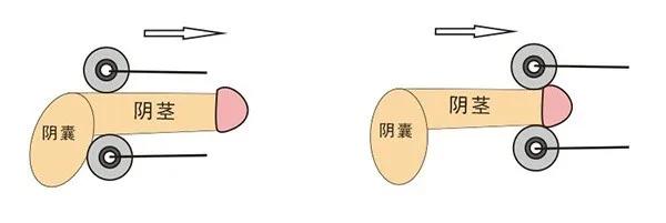 3427692701_1729638311