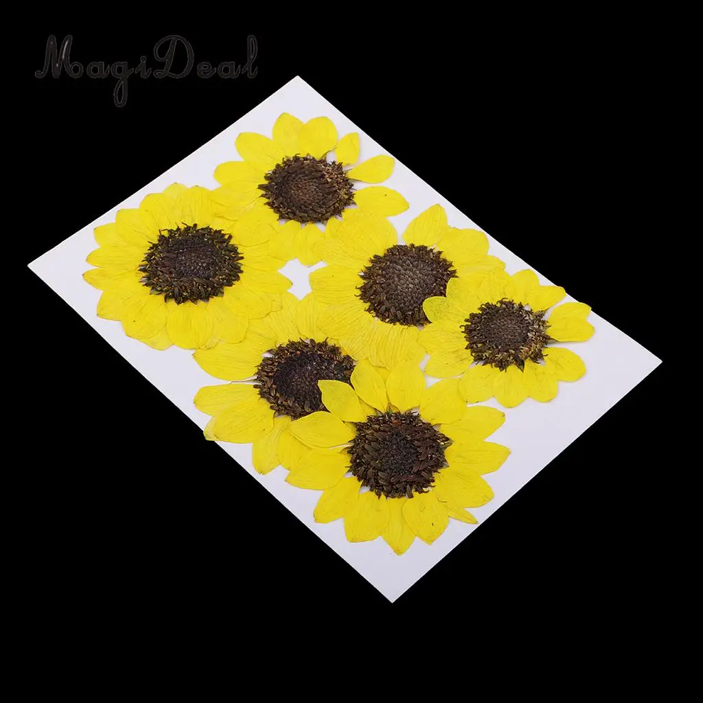 6 Pieces Pressed Natural Real Dried Flowers Sunflower for DIY Resin Ornament Craft Christmas Xmas Card Making Decoration