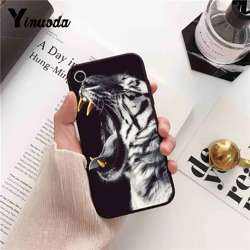 Cool Tiger Owl Cat Cartoon