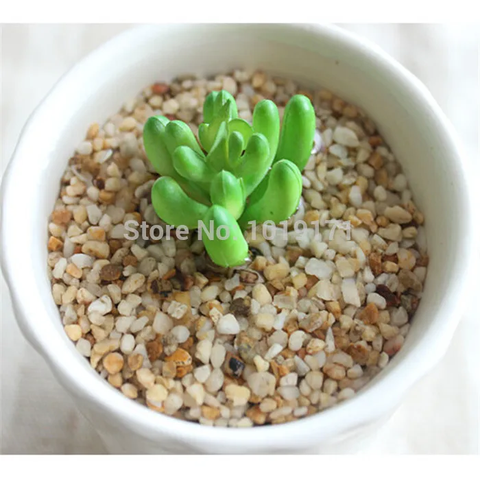 

100g Natural River Sand Stone Marbles No vase plant for Bonsai Fish Tank Moving House Home Decor F459