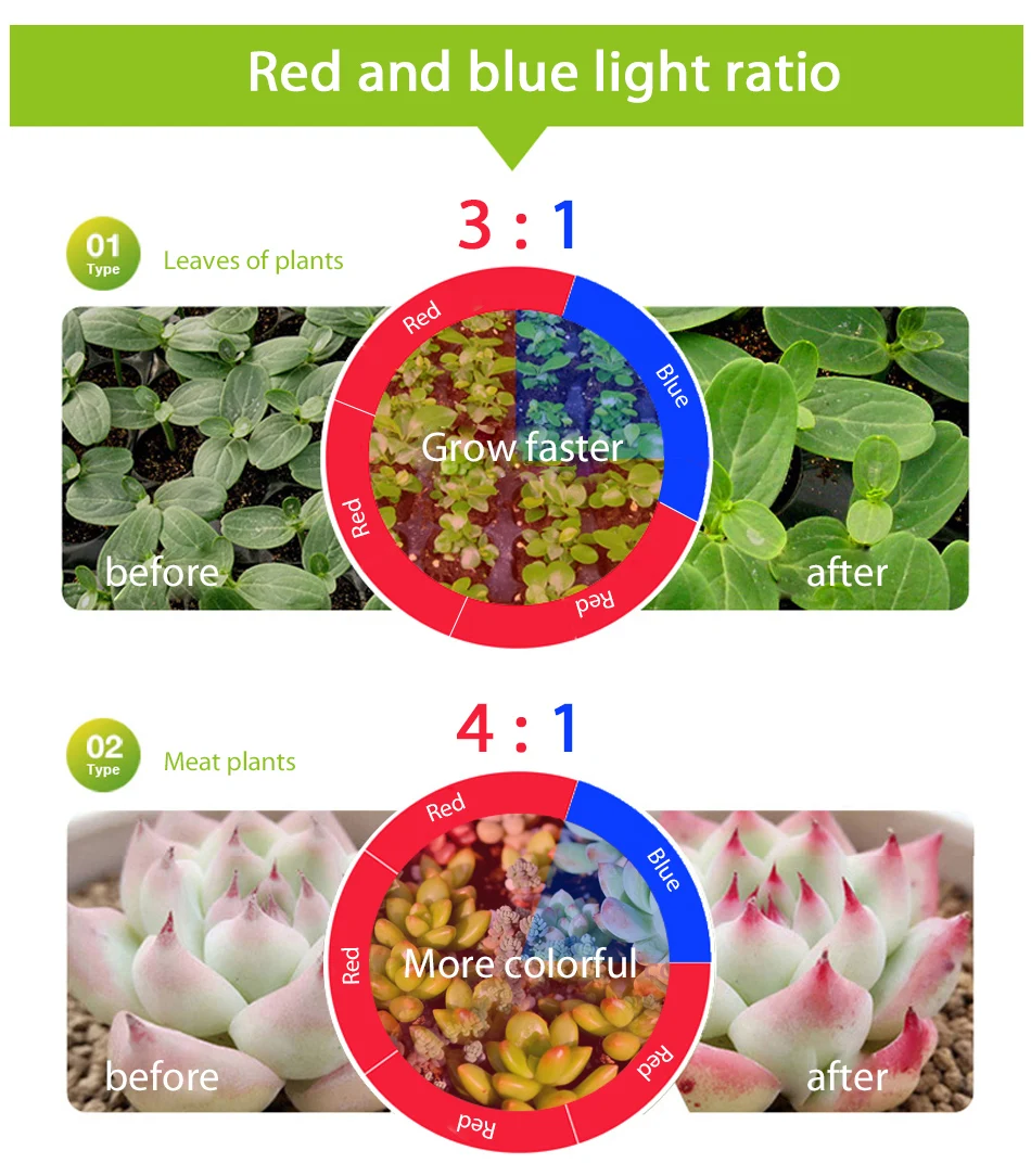 Растение светится полный спектр светодиодные полосы цветок Фито лампа 5 м затемнения красный синий 4:1 для теплицы гидропоники+ адаптер питания