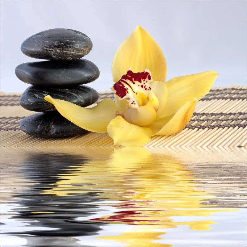 stickers-lave-vaisselle-ou-magnet-lave-vaisselle-fleur (1)