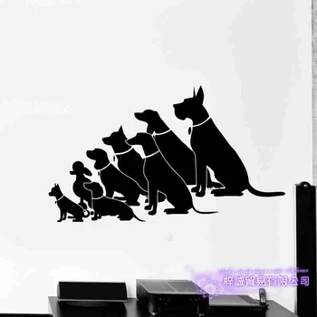 

DCTAL Dog Grooming Salon Pet Shop Sticker Decal Posters Vinyl Wall Art Decals Parede Decor Mural Pet Shop Sticker