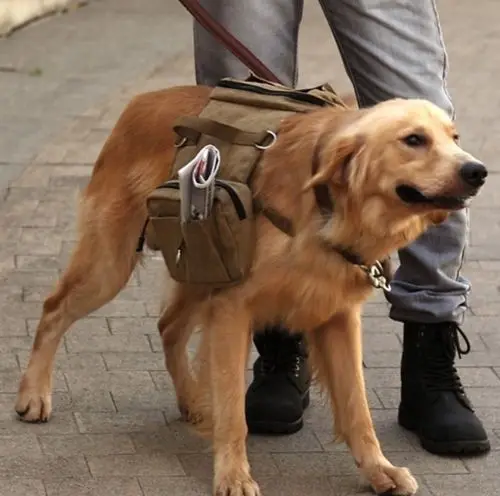 Aliexpress New Hound Deluxe Travel Saddle Bags Dog New Hound Deluxe Travel Saddle Bags Dog Backpacks Rucksack For Hiking Or Camping