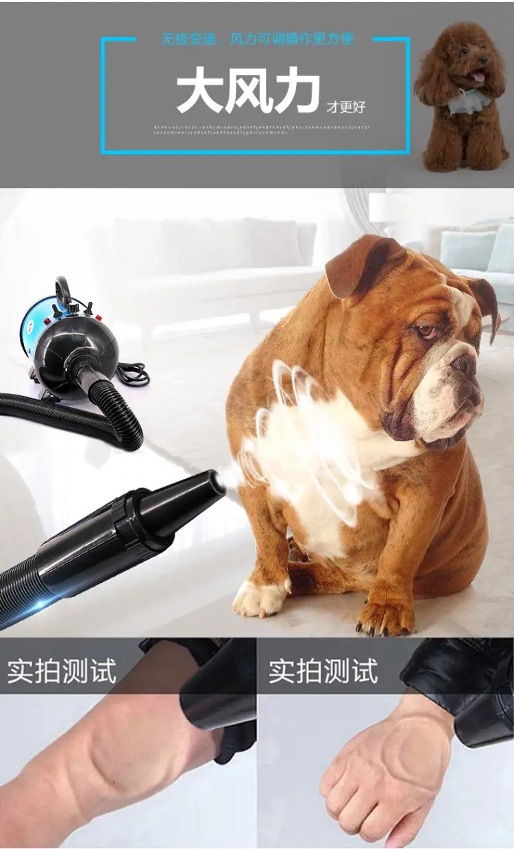 Pet Water Blowing Machine Large Dog Dog Hair Dryer High Power Mute Noise Reduction Special Dryer Blowing Long Hair Pet Dryer