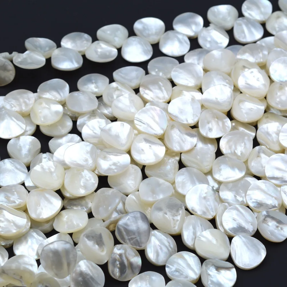 Естественные ракушки bead 15 мм Белый Сектор Sea shell beads|Бусины| |