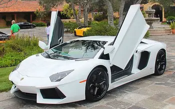 

Car Door AUTO LAMBO DOORS For Polo 2012 High Strength Sicssor Door hinge