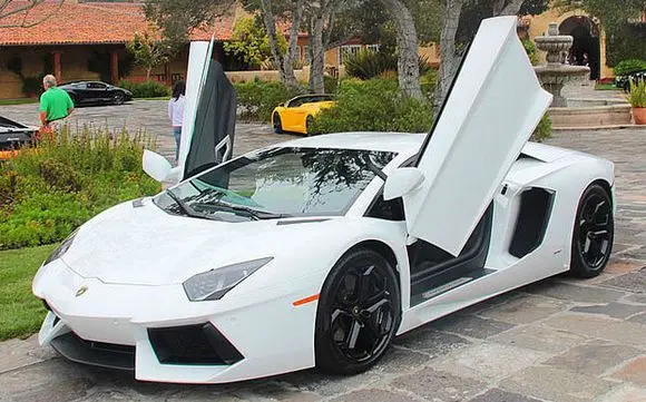 Автомобильная дверь двери LAMBO для Polo 2012 высокопрочная дверная петля Sicssor|Рычаги