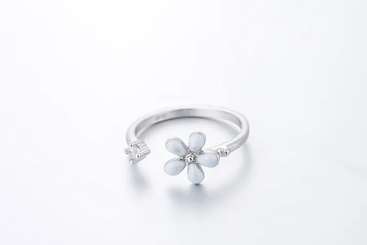 8162556243_1039125567