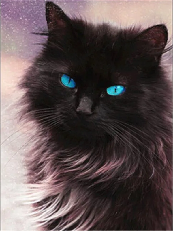 HUACAN полная квадратная Алмазная картина кошка 5D Diy Алмазная вышивка животные мозаичная картина стразы украшение дома для девушек хобби - Цвет: FV1727