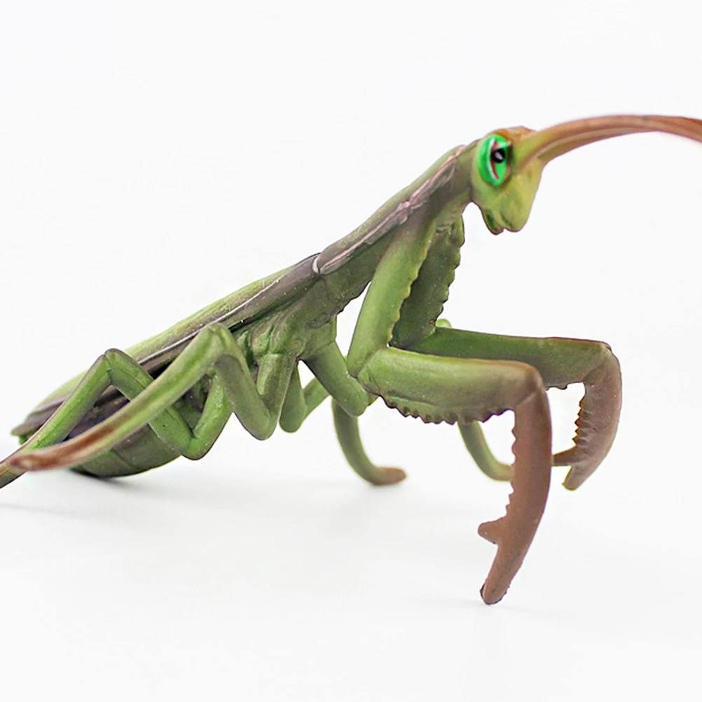 

1pc Mantis Figurine Simulation Insect Model Lifelike Toy Ornaments Craft Gift Collection Home Office Desktop Decoration