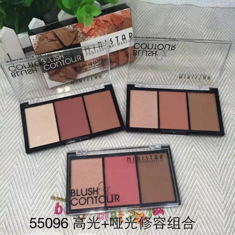 

3 Colors High-gloss+matte Repair Powder Combination Of Silhouette Repair Capacity Powder Nose Shadow Color Decoration