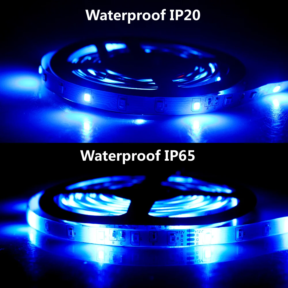 IP20-IP65-Blue