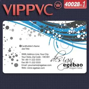 

a40028-1 Trendy Translucent PVC Card Printing