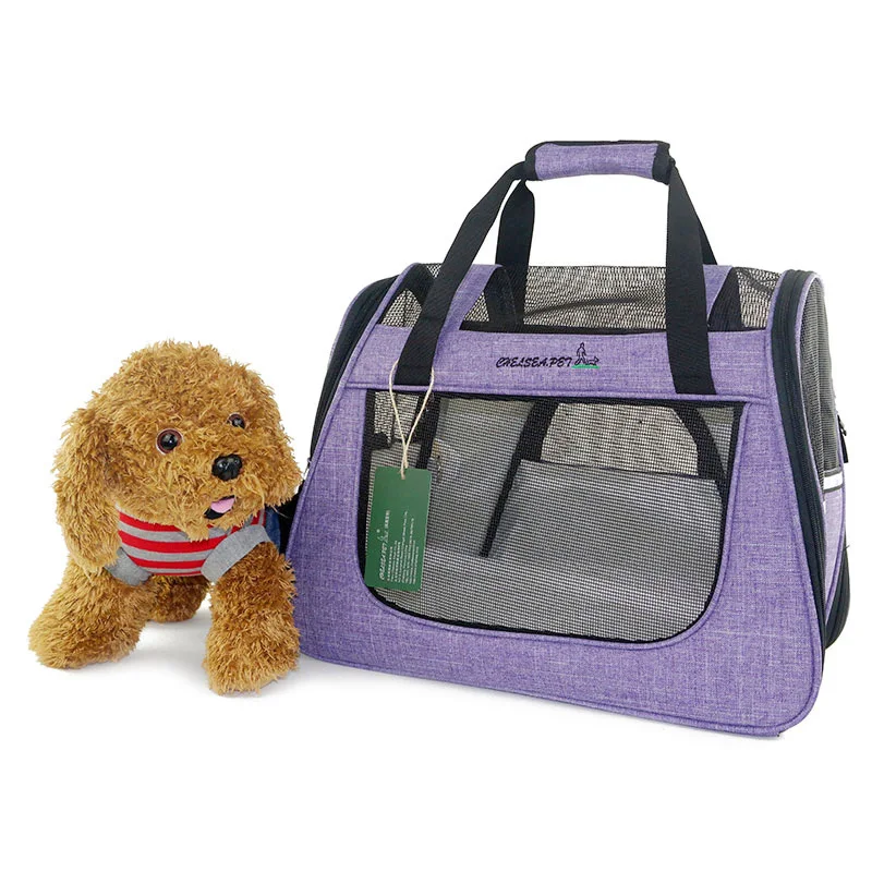 10519019167_1504596986