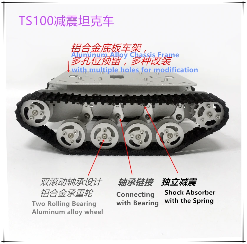 TS100 _+_