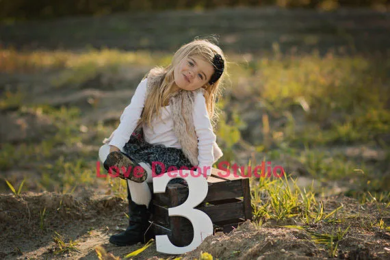 free shipping Number Three 3 Sign Age Photo Prop- Wooden pvc Age Numbers for Children Photos- Large Wooden pvc Numbers