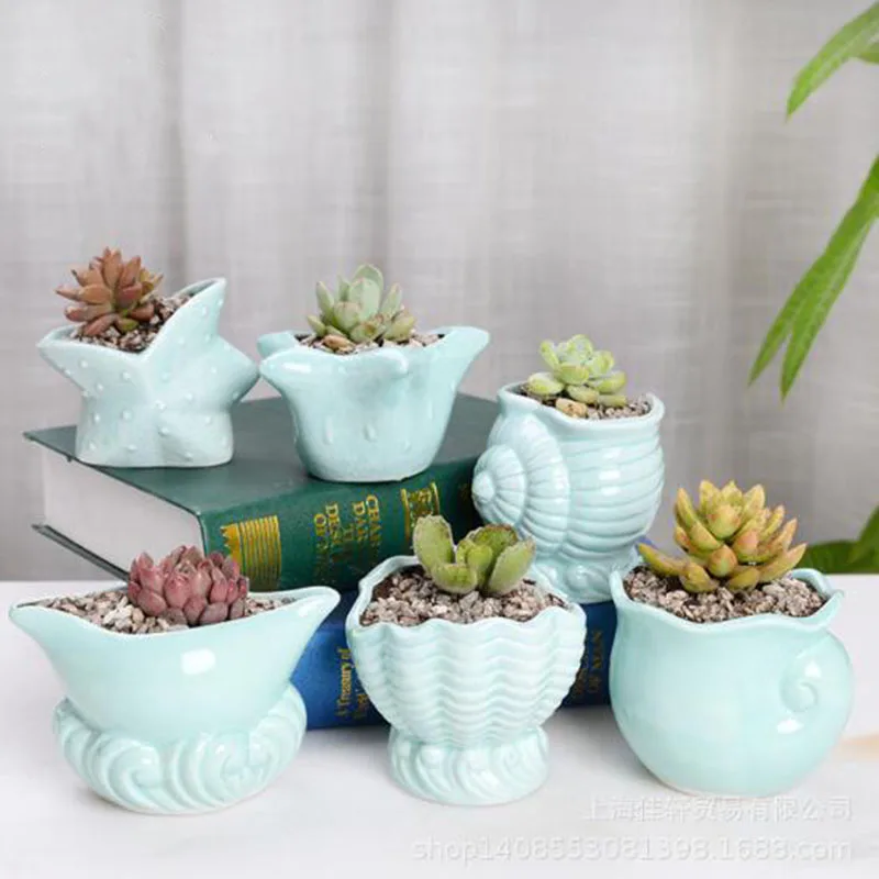 

Ocean Series Ceramic Flowerpot Fleshy Flower Pot Creative Celadon Succulent Plant Pots Planter Home Garden Wholesale