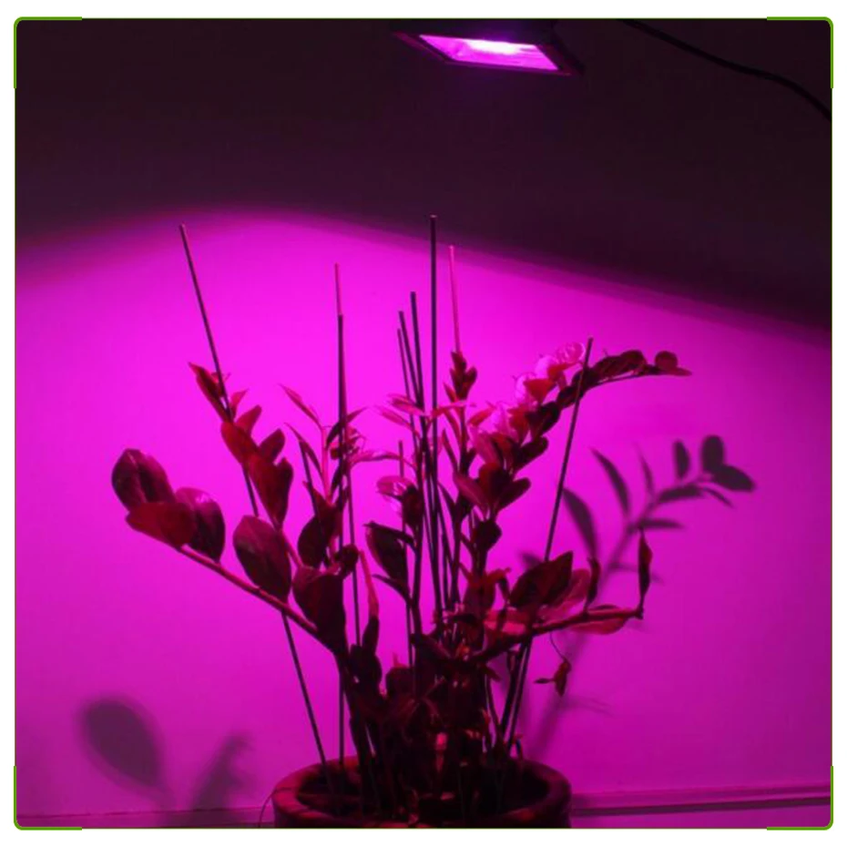 Светодиодный свет для выращивания COB чип полный спектр фитолампа диод аквариум растительная лампа светодиодный матричный 220 V 110 V 20 Вт 30 Вт 50 Вт 70 Вт комнатный цветок led grow гроубокс палатка цветов