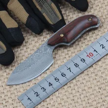 Little Lamb Fixed Knife 58HRC Damascus Blade Wood Handle Collection Knives Camping survival Tactical Utility Multitool EDC Tool
