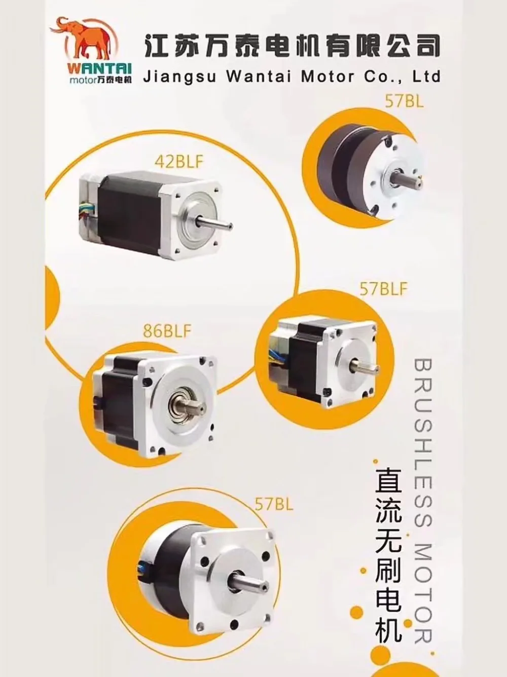 Nema 42 Stepper Motor of 1700oz-in110BYGH99-001+1