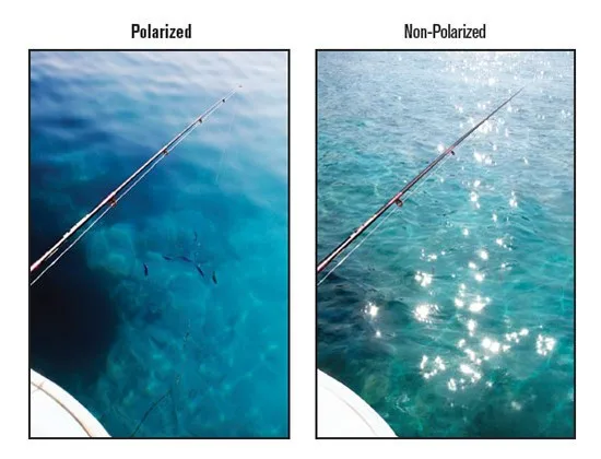 polarized versus non polarized glasses