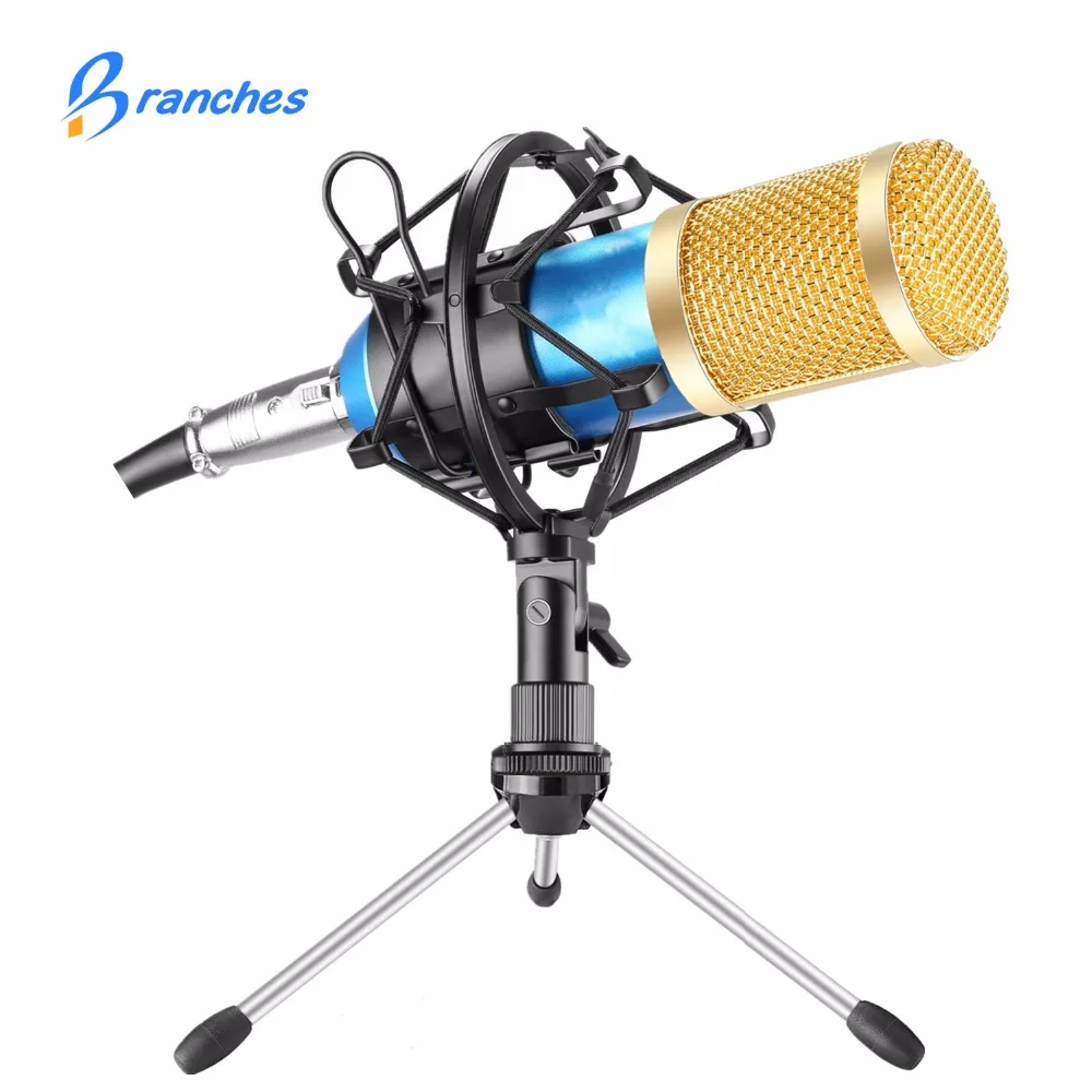 

BM-800 Professional Condenser Microphone Kit:Microphone For Computer+Shock Mount+Foam Cap+Cable As BM 800 Microphone BM800