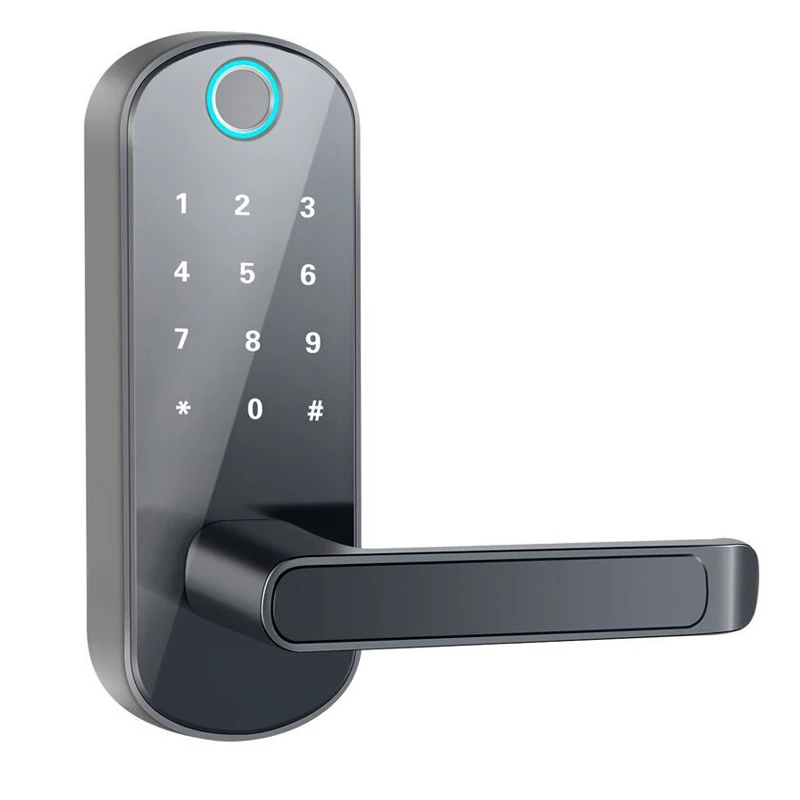 

Bluetooth TT Lock 4-way Key Unlock Password RFID Card Key Remote Smart Door Lock