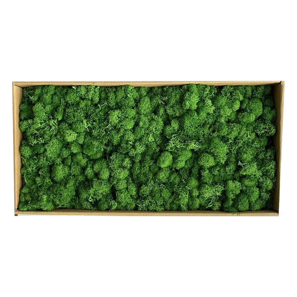 Colorful Artificial Moss Plant DIY Dried Reindeer Moss Floral Crafts Flowers for Plant Pot Garden Home Wedding Decor