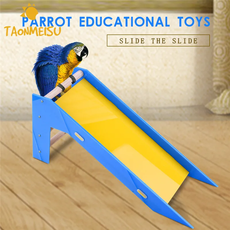 Parrot's Slide Training Bird Toys Parrot Educational Toys for small and