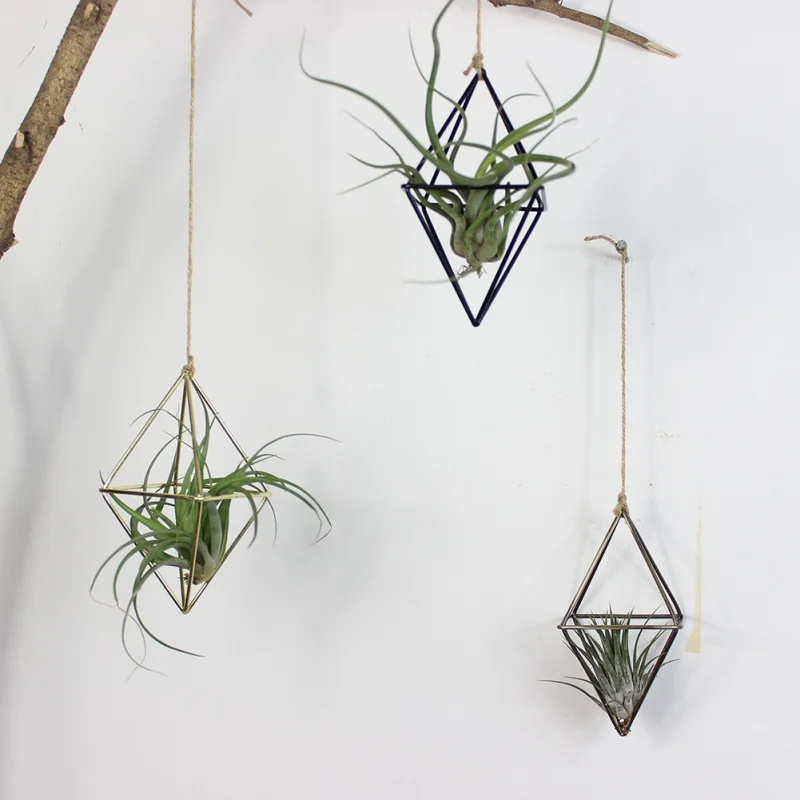 Отдельно стоящие подвесные плантаторы геометрические качели из кованого железа тилландсия воздушные растения держатель треугольной формы металлический стеллаж