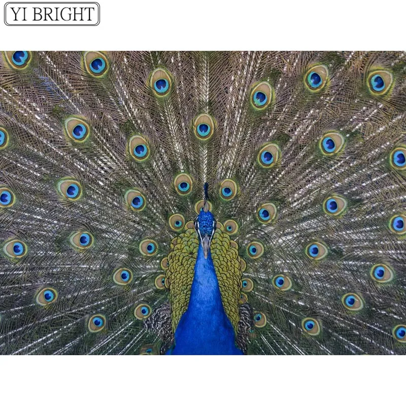 5D DIY Full Square Diamond Painting Cross Stitch Peacock opening 3D Embroidery Rhinestone Mosaic Home Decoration | Дом и сад
