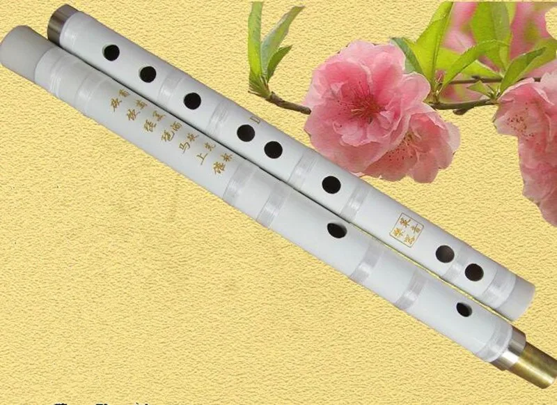 Flauta chinesa dizi c d e f