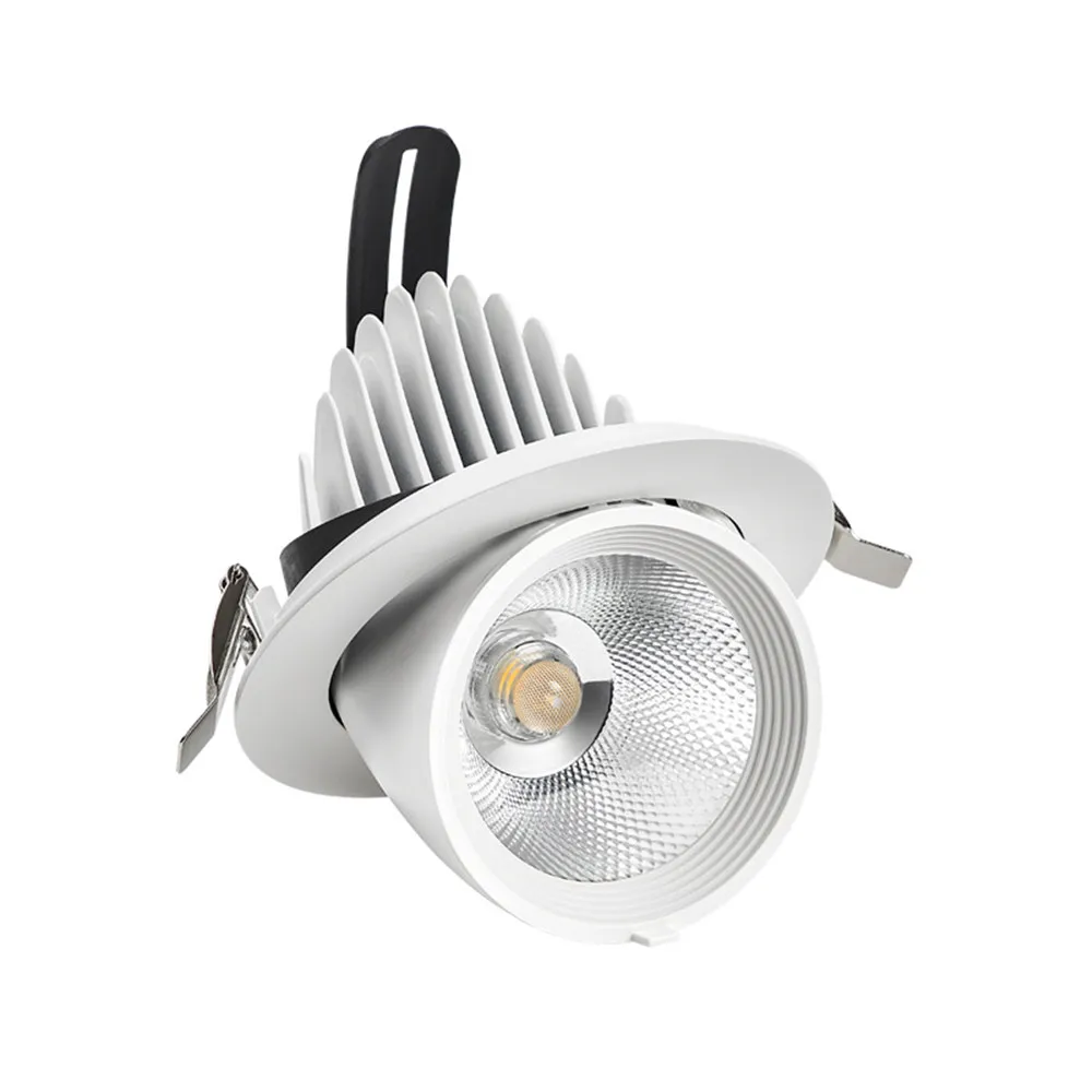 LED Downlights  (11)