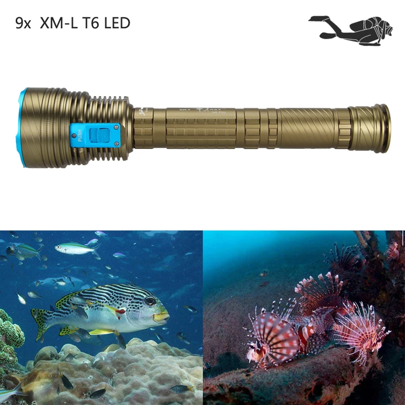 XSC0056 (6)