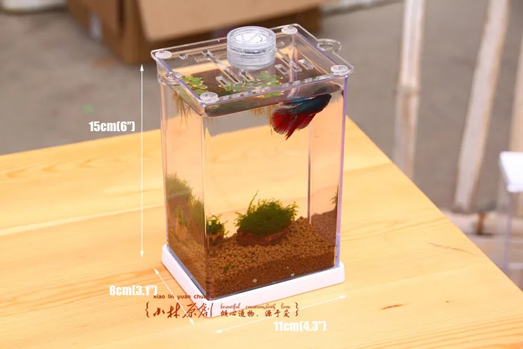 小魚タンク熱帯ベタ魚ミニナノarcylic水槽水族館ledライト Tank Aquarium Small Fish Tankfish Tank Aliexpress