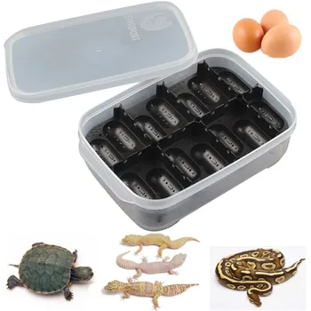 

Reptile Incubator Breeding Box Brooding Hatching Container Reptile Terrarium