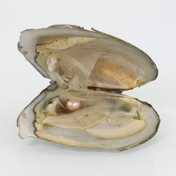 

Freshwater Oyster One Natural 6-7MM Rice Pearls Inside One Oyster Vacuum Packed Best Christmas Gifts Natural Pink Color FO010
