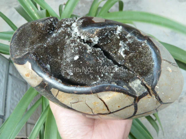 5 натуральный септариевый драгоценный кристалл камень geode минеральный образец