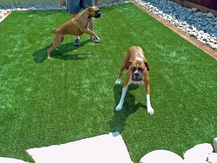 landscape artificial grass luxgrass (19)