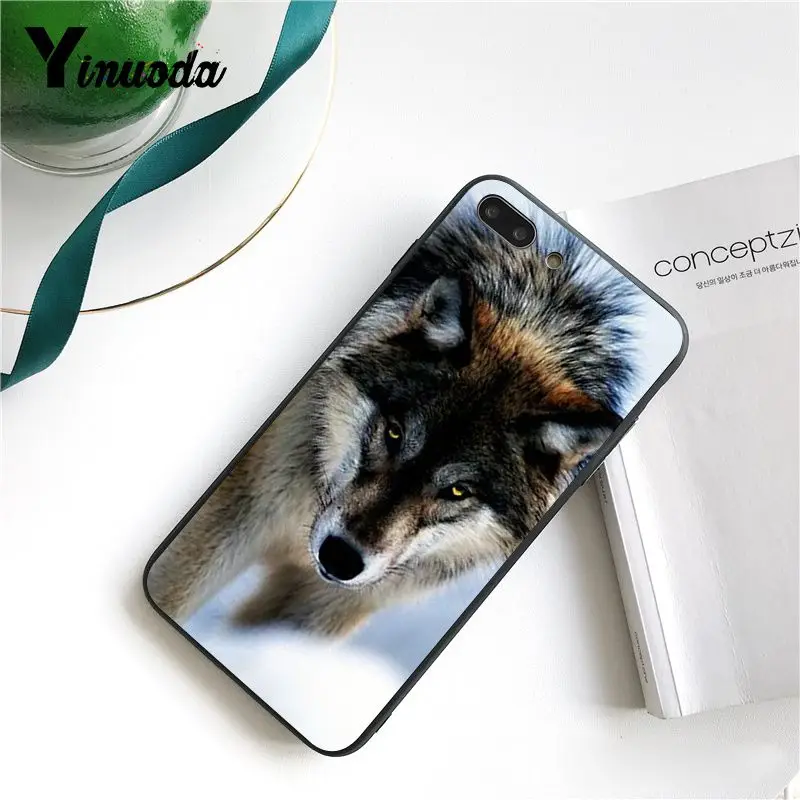Cool Wolf (15)